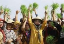 Calon Bupati No Urut 3 Nesy Mustafa Siap Sejahterakan Petani Singkong, Ini Caranya