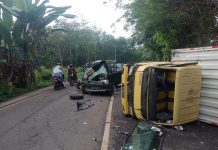 Insiden Kecelakaan Hebat Dijalinsum Way Kanan, Supir Tewas Ditempat