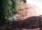 Aset Daerah Hancur Demi Keuntungan Pribadi Pengawasan Instansi Terkait Lemah